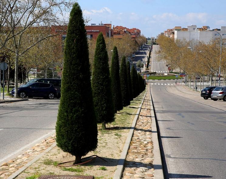 El Ayuntamiento de Alcobendas (Madrid) ha confiado en Viales y Obras Públicas como empresa responsable para la rehabilitación de la calzada en su municipio, dentro de un acuerdo marco