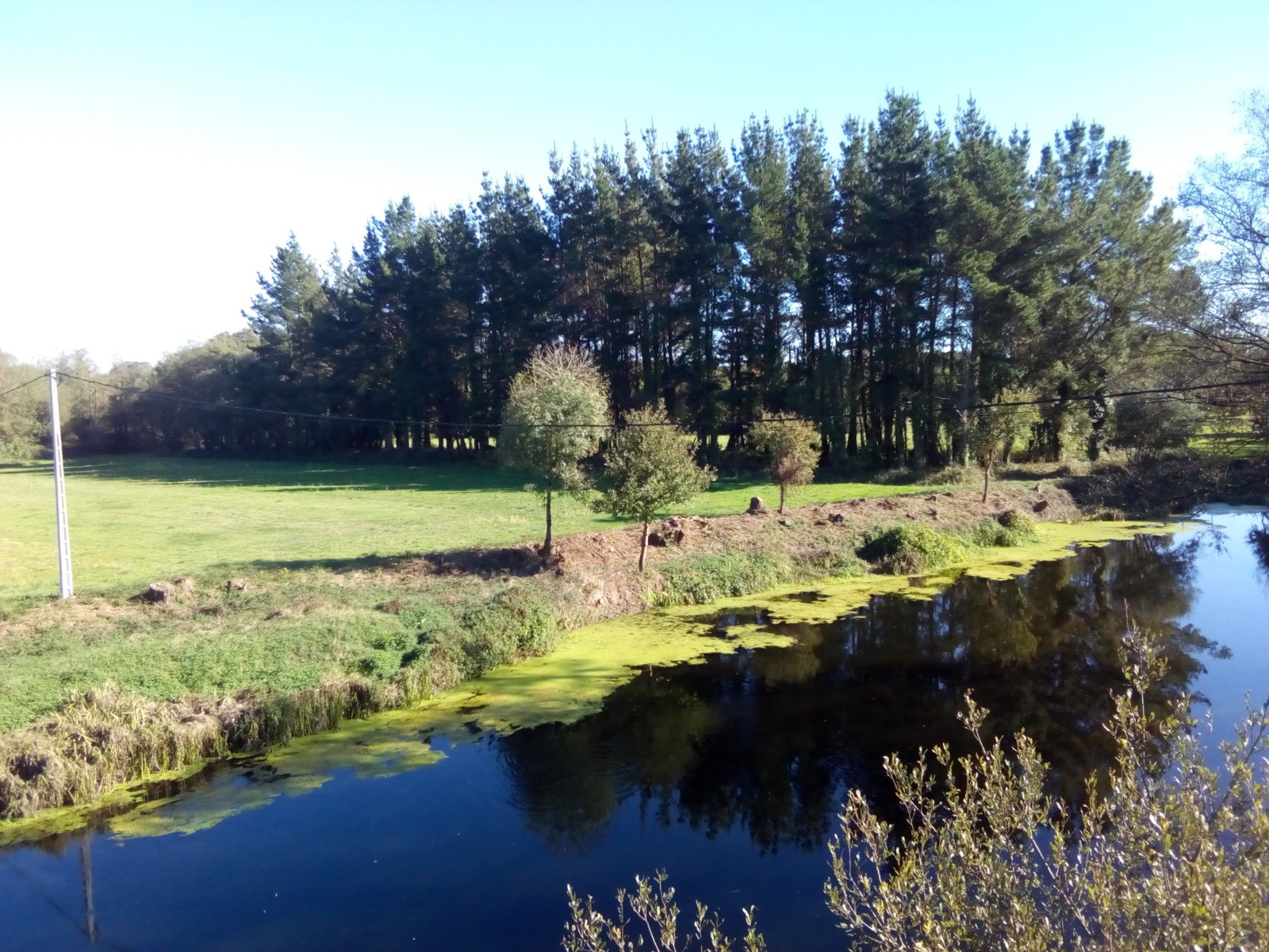 Restauración hidrológico-forestal y mejora de conectividad de cauces cuenca Miño-Sil